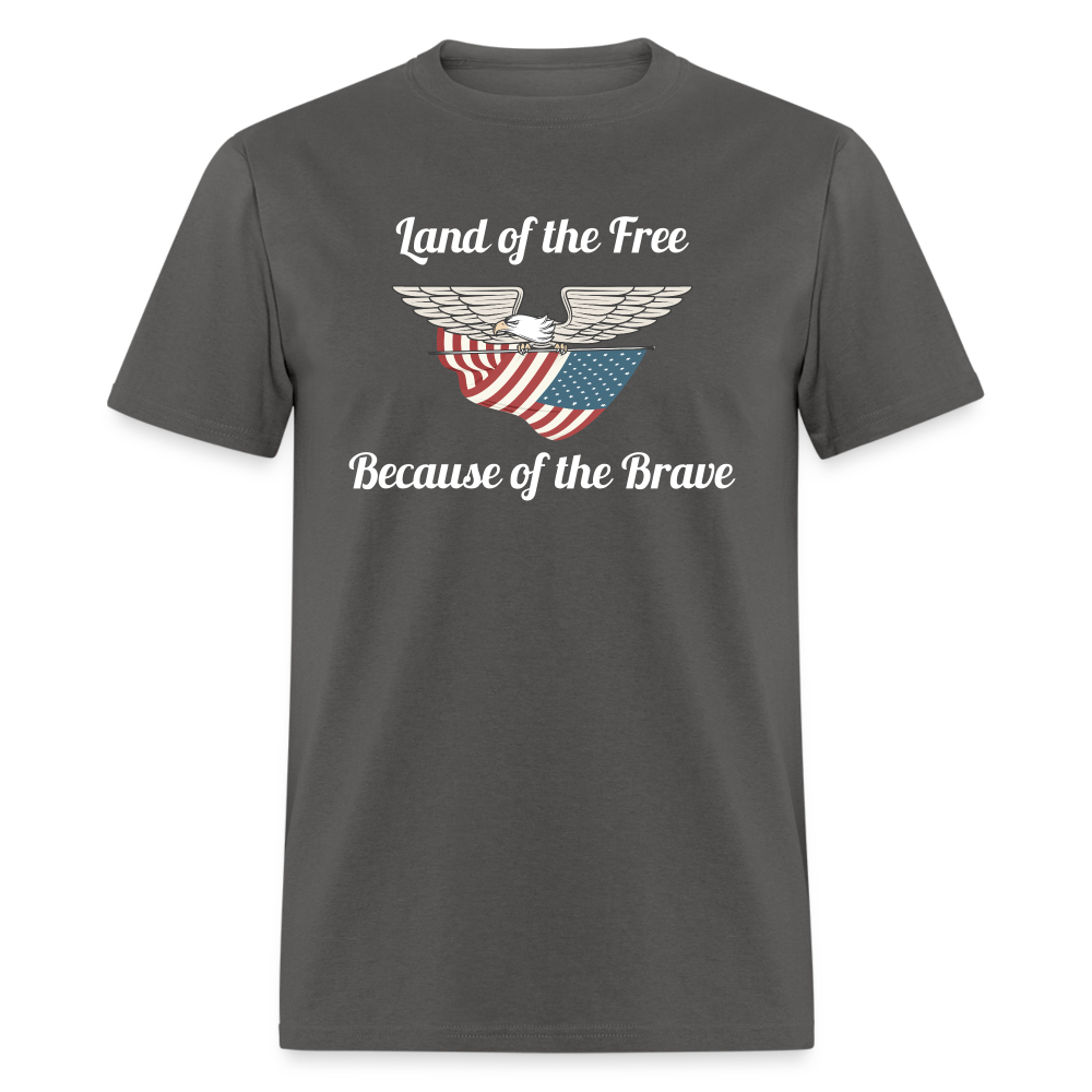 Land of the Free - charcoal